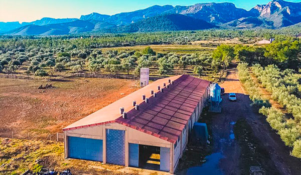 La granja d’Artagro entre oliveres, a Rasquera